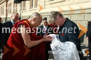 重磅：费德勒英超的传控数据真(足球神级中场哈兰德惊呆了)